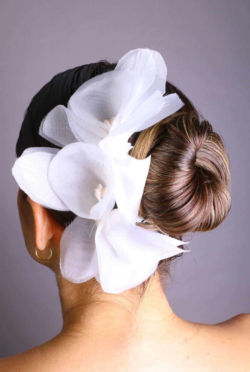 ORQUÍDEA FERNANDA